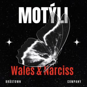 อัลบัม Motýli (feat. Narciss225) [Explicit] ศิลปิน Wales