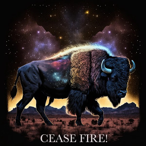 Album Cease Fire! from John Schroeder