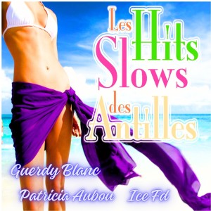Album Les hits Slows des Antilles from Guerdy Blanc