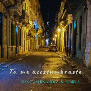 收听Nancy Hernandez的Tu Me Acostumbraste歌词歌曲