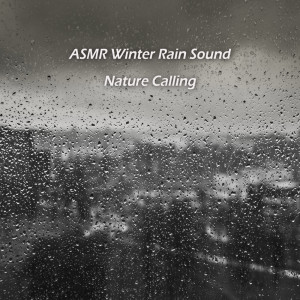 Listen to ASMR 겨울빗소리 ASMR Winter Rain Sound song with lyrics from 네이쳐콜링 Nature Calling