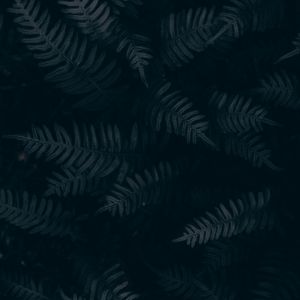 Listen to Nature's Calling song with lyrics from Deep Sleep