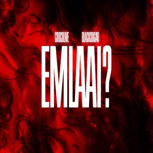 Listen to Em Là Ai ? (Explicit) song with lyrics from Crocolive