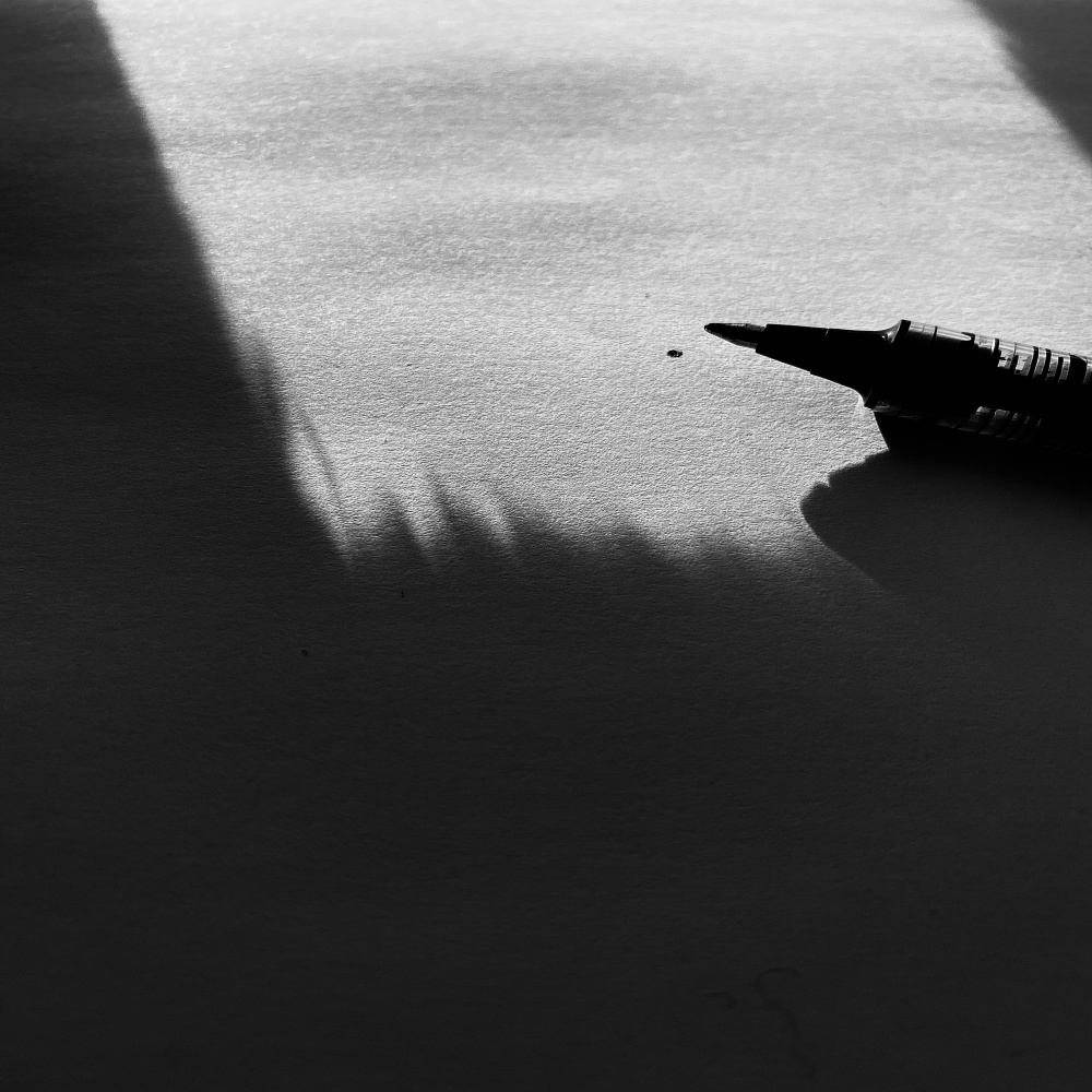 The Curator