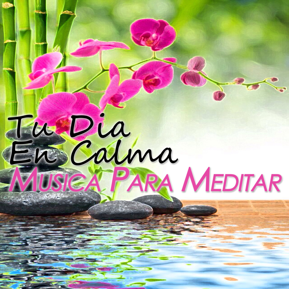 Música Para Calmar La Ansiedad (Yoga)