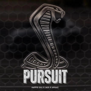 Album Pursuit (Explicit) from Jass