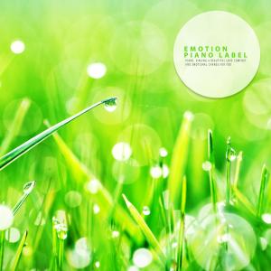 收听오로라的Shining Day歌词歌曲