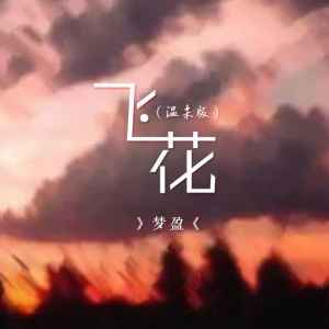 Listen to 飞花 (温柔版伴奏) song with lyrics from 梦盈