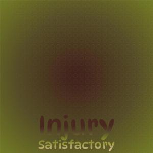 Various Artists的專輯Injury Satisfactory