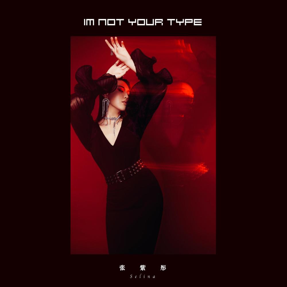 I'M NOT YOUR TYPE (伴奏)