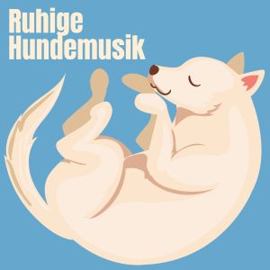 Listen to Ruhige Hundemusik, Pt. 19 song with lyrics from Biblioteca de Música Para Mascotas