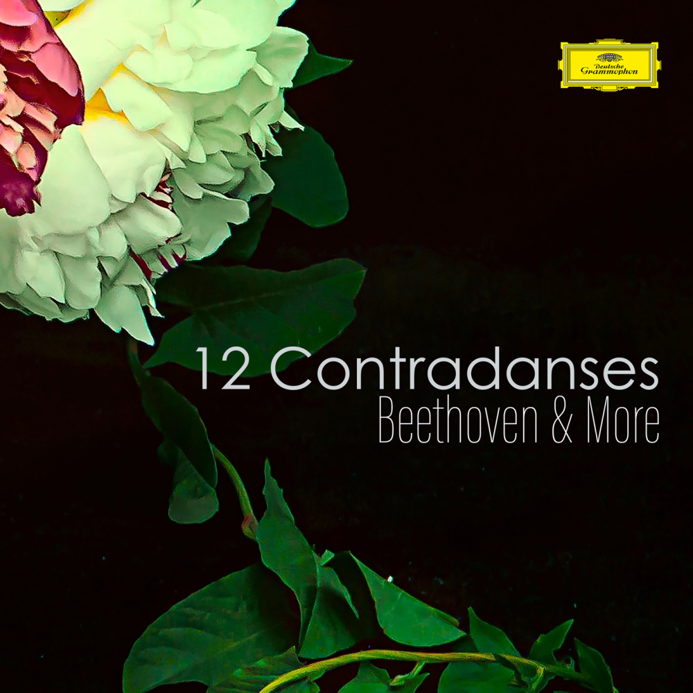 Schubert: 5 Minuets & 6 Trios, D. 89: No. 2 in F Major. Minuet