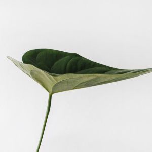 Dengarkan lagu Relax nyanyian Sleep Sounds of Nature dengan lirik