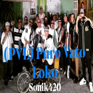 收聽Sonik 420的(Pvl) Puro Vato Loko歌詞歌曲