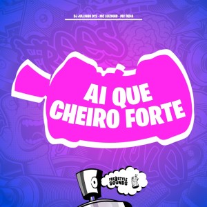 收听DJ JULLINHO 013的Ai Que Cheiro Forte (Explicit)歌词歌曲