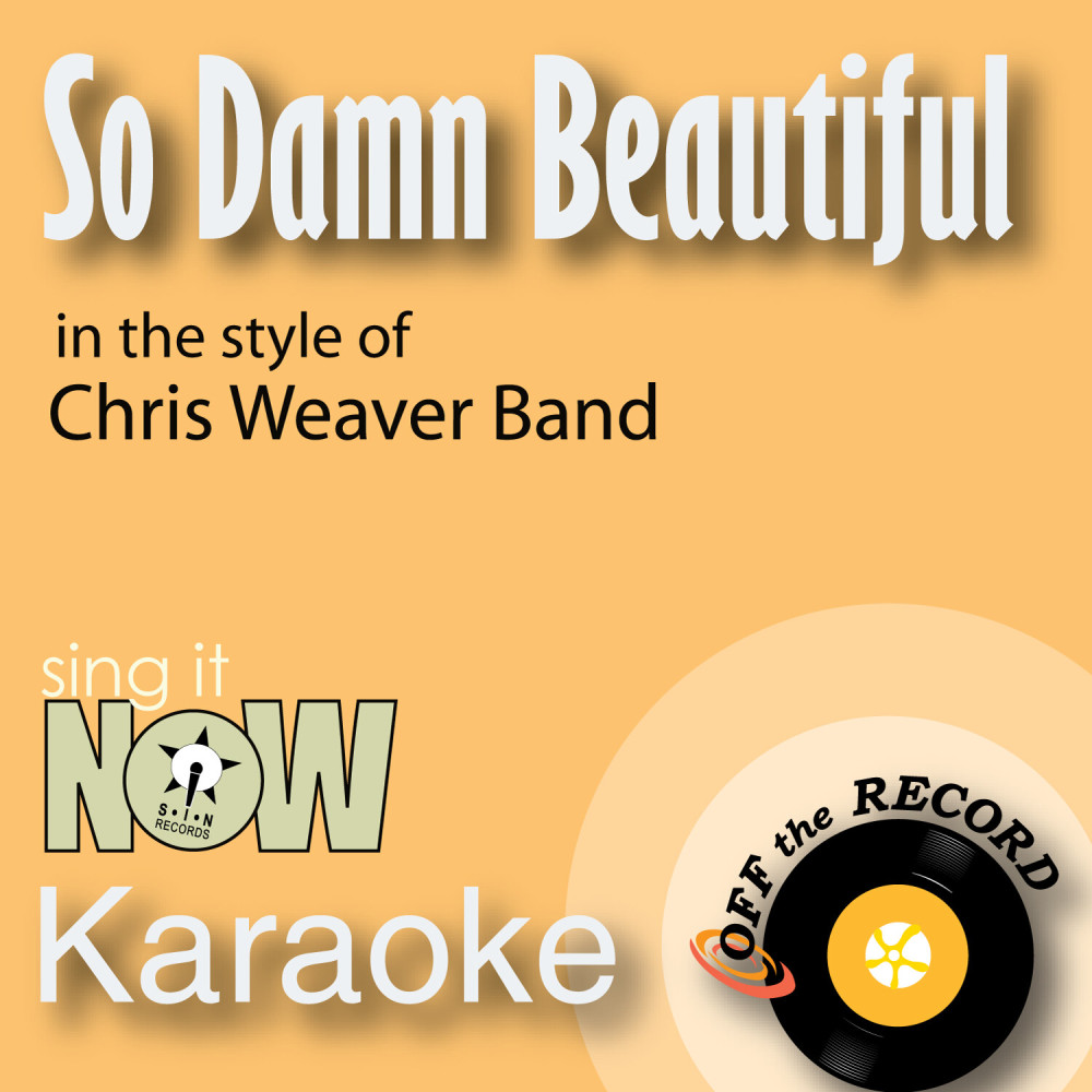 So Damn Beautiful (In the Style of Chris Weaver Band) [Karaoke Version With Lead Vocal] (Karaoke Version With Lead Vocal)