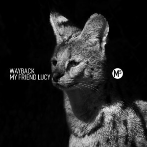 Listen to Uneducated (Explicit) song with lyrics from Wayback