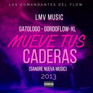 收聽LMVMUSIC的MUEVE TUS CADERAS 2013 (feat. GATOLOGO, XL & GORDOFLOW) (Explicit)歌詞歌曲
