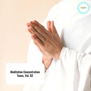 Listen to Peaceful Temple Mornings song with lyrics from Allison Druzik