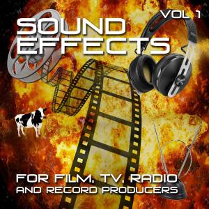 ดาวน์โหลดและฟังเพลง Blustery Wind Through Fence พร้อมเนื้อเพลงจาก Ministry of Sound FX