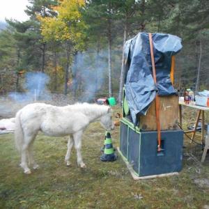 อัลบัม Illegal Dream ศิลปิน La Tartine