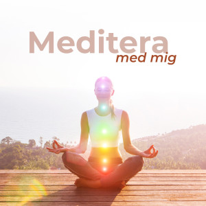 Listen to Kosmisk energi song with lyrics from Lugn Musik Atmosfär