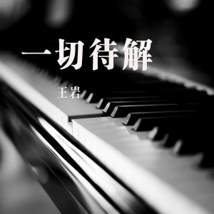 Album 一切待解 oleh 王岩