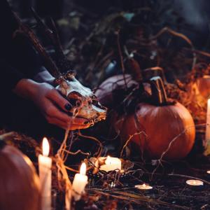Listen to Cannibal Woods (feat. Frank Dukes) song with lyrics from Joshua Samuel Wills