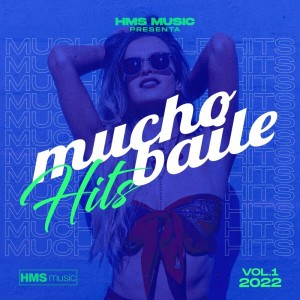 Varios Artistas的專輯Mucho Baile Hits 2022 (Vol 1)