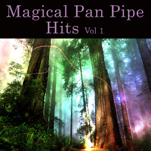 Wolfgang Remo的專輯Magical Pan Pipe Hits Vol. 1