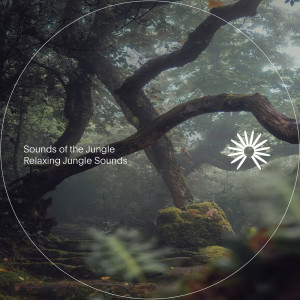 Album Relaxing Jungle Sounds from Sounds of the Jungle