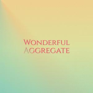 ดาวน์โหลดและฟังเพลง Wonderful Aggregate พร้อมเนื้อเพลงจาก Maryana Grete