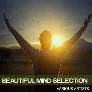 Various Artists的專輯Beautiful Mind Selection