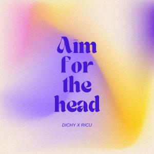 Dichy的专辑Aim For The Head (Explicit)