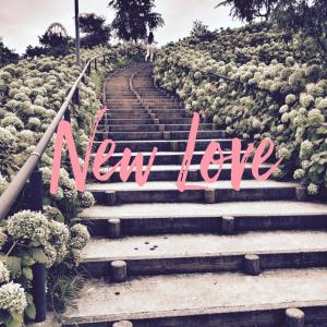 Mike Carr的專輯New Love