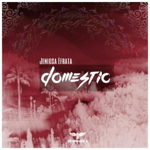 Listen to Domestic song with lyrics from Jeniosa Efrata