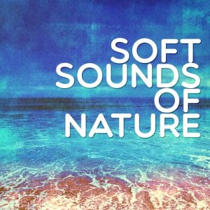 Various Artists的專輯Soft Sounds of Nature
