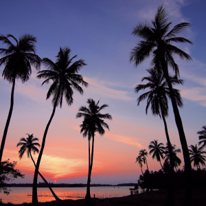Listen to Gentle Nights Embrace song with lyrics from SlumberSounds