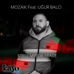 Album stell mir die frage from Mozaik