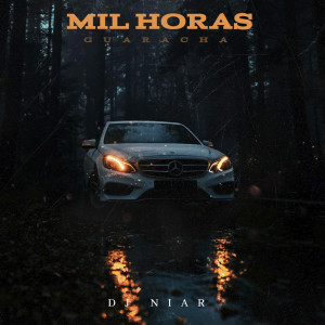 Listen to Mil Horas (Guaracha) song with lyrics from DJ Niar