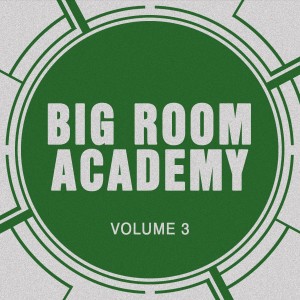 Album Big Room Academy, Vol. 3 from Big Room Academy