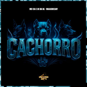 Listen to Cachorro Faminto (Explicit) song with lyrics from Mc C.A