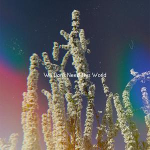 Boys Age的專輯We Don’t Need This World