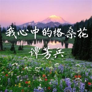 收聽譚芳兵的瀏陽河歌詞歌曲