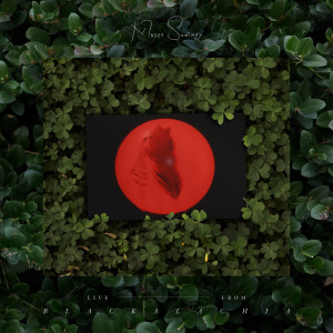 อัลบัม In Bloom (in the woods) ศิลปิน Moses Sumney