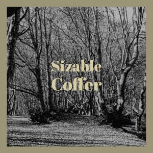 Various的专辑Sizable Coffer