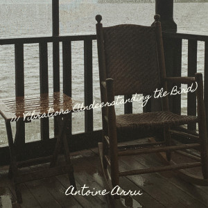 Album 111 Vibrations (Undeerstanding the Bird) from Antoine Arru