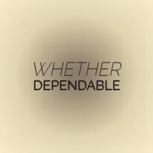 Various Artists的專輯Whether Dependable