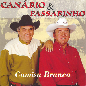 Listen to O Ladrão De Galinha song with lyrics from Canário