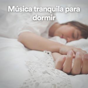 收听Musica de Ambiente的Música tranquila para dormir, Pt. 5歌词歌曲